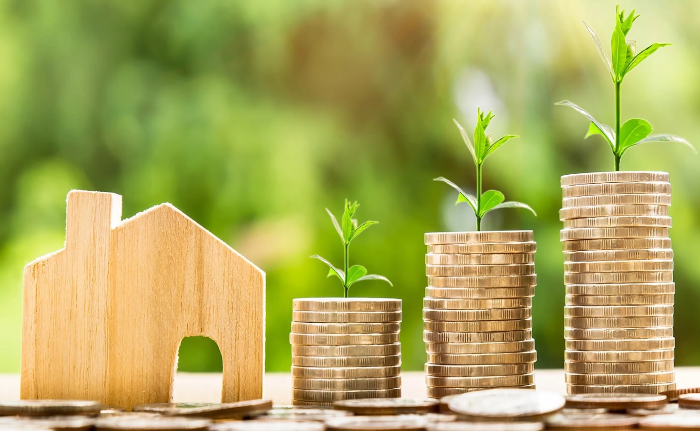 Agevolazioni Fiscali: IVA 10% e detrazione fiscale 55% e 65%
